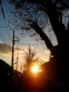 砧の夕日