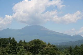 IMG_2659